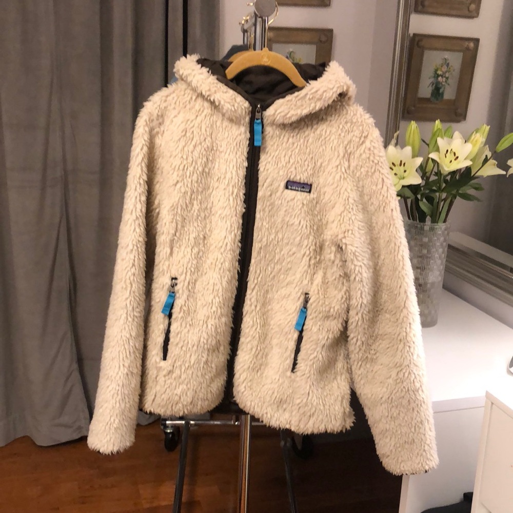 Patagonia Retro-X Windproof Pile Hoodie